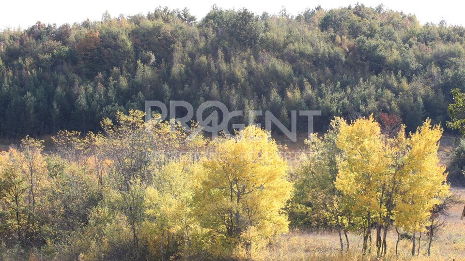 ISTRIA, LUPOGLAV, BUILDING AND AGRICULTURAL LAND FOR SALE