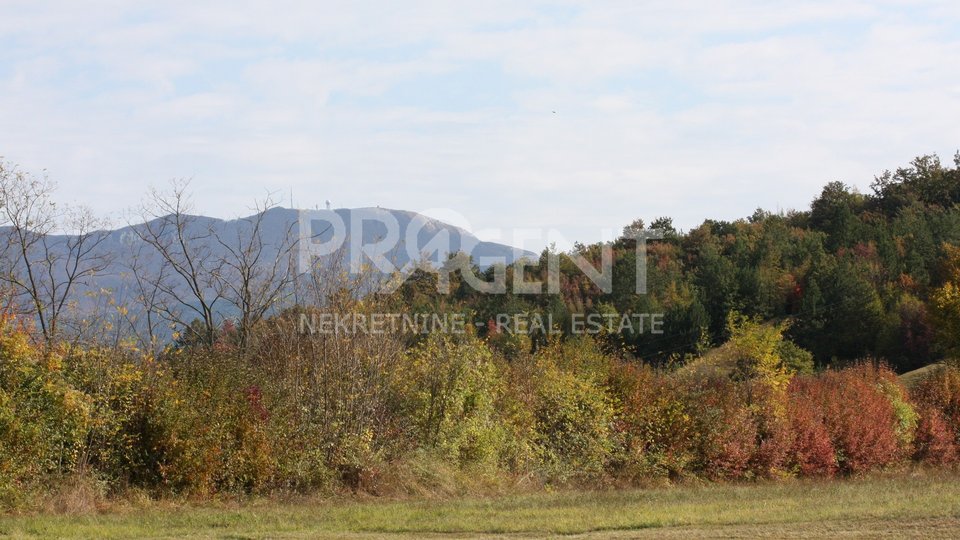 Land, 3500 m2, For Sale, Lupoglav - Lesišćina