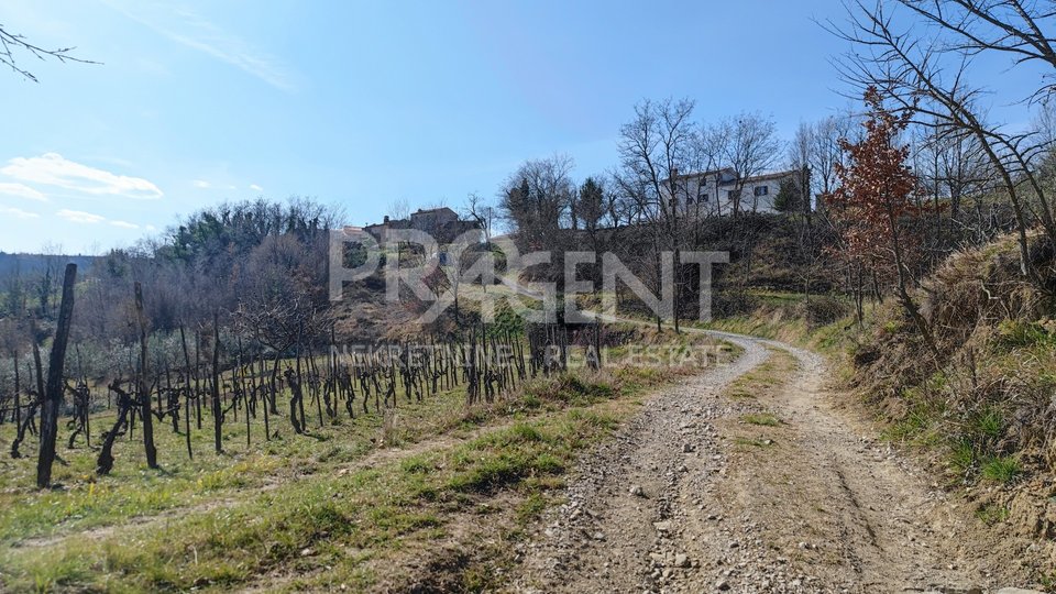 Land, 5336 m2, For Sale, Buzet - Vrh