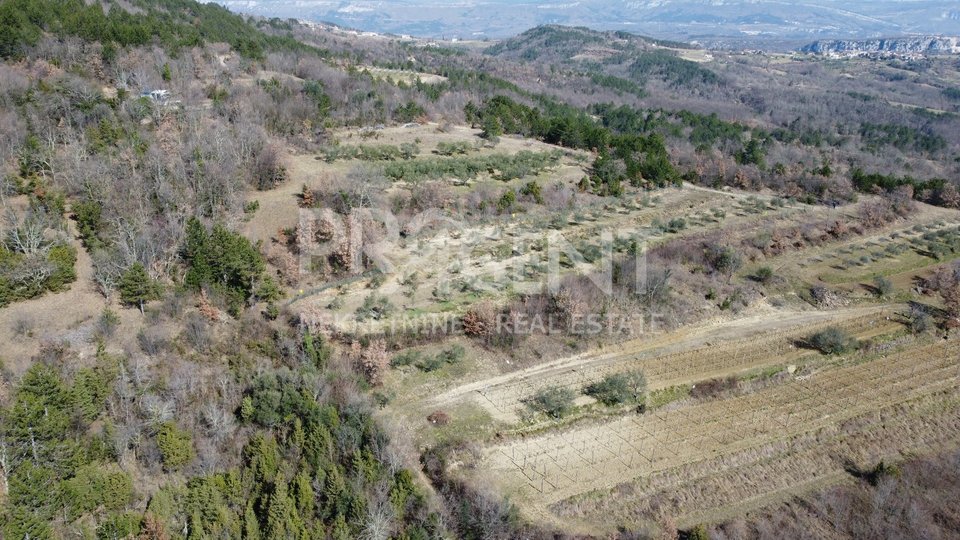 Land, 5336 m2, For Sale, Buzet - Vrh