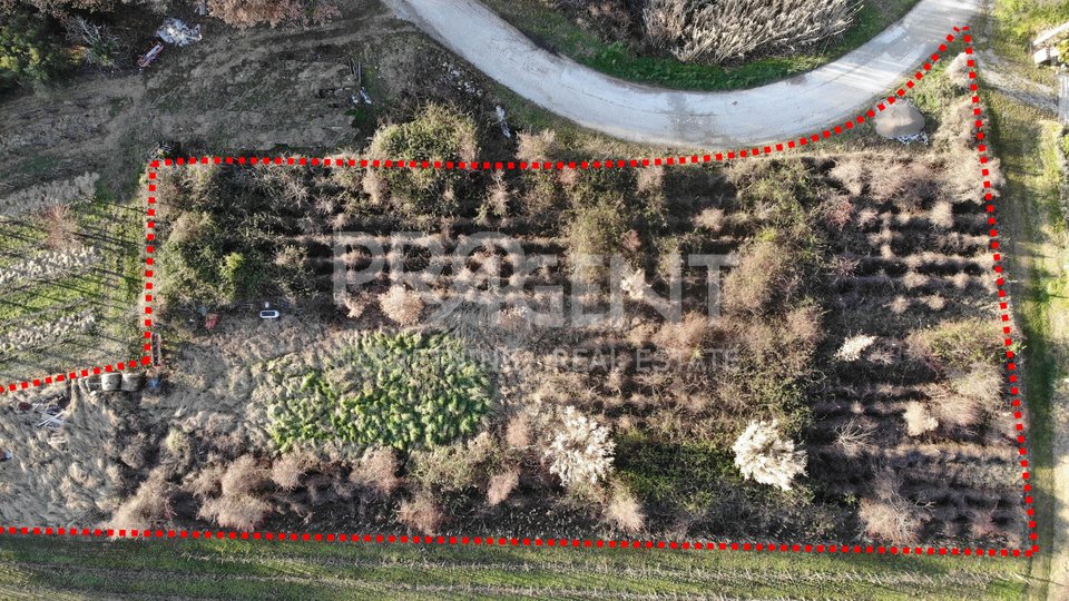 Land, 1900 m2, For Sale, Buzet - Sveti Donat