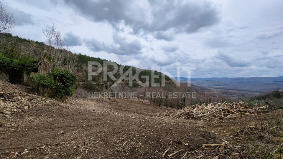 Land, 7458 m2, For Sale, Grožnjan