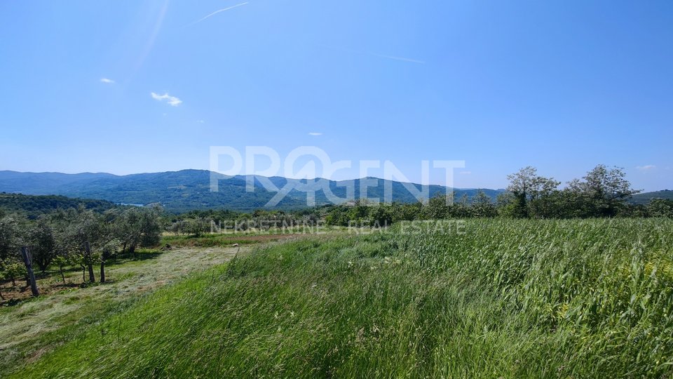 Land, 3848 m2, For Sale, Buzet - Vrh