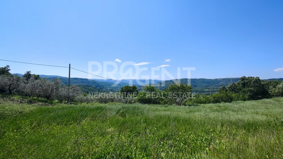 Land, 3412 m2, For Sale, Buzet - Račice