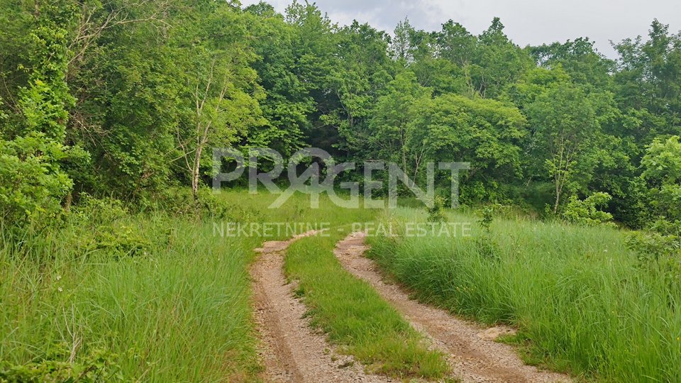 Land, 1045 m2, For Sale, Buzet - Roč