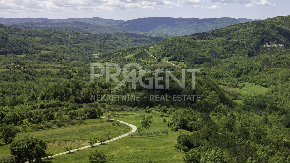 Land, 10290 m2, For Sale, Buzet - Račice