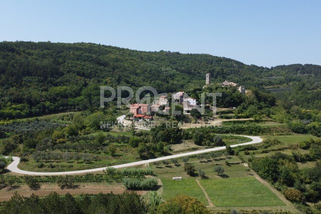 Land, 7458 m2, For Sale, Grožnjan