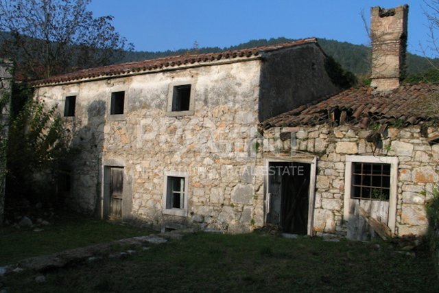 ISTRIA, DANE, STONE HOUSE FOR ADAPTATION, FOR SALE