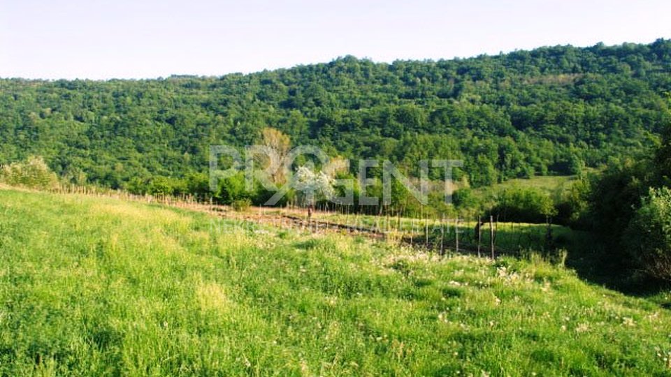 Land, 29000 m2, For Sale, Buzet - Račice