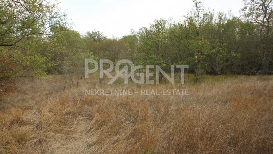 Land, 8927 m2, For Sale, Krmed