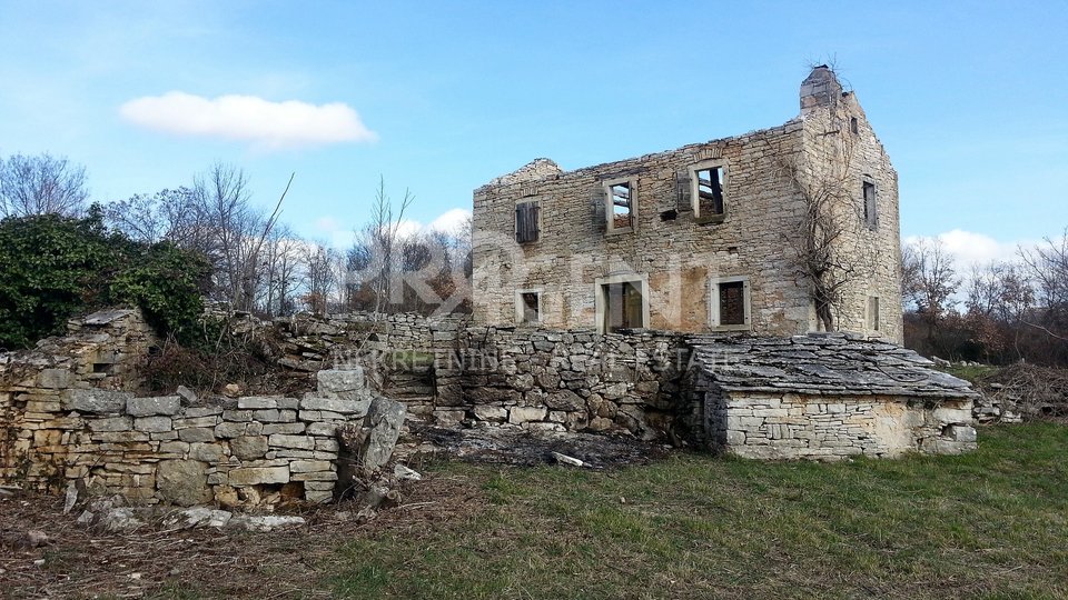 Stone ruinous house and land