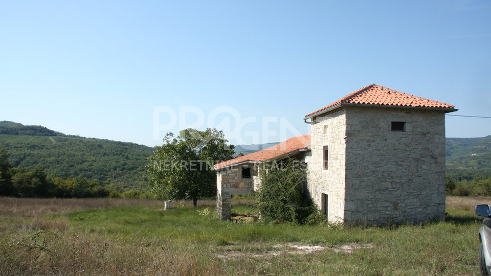 Istria, Motovun, farm with 22206 m2 of land