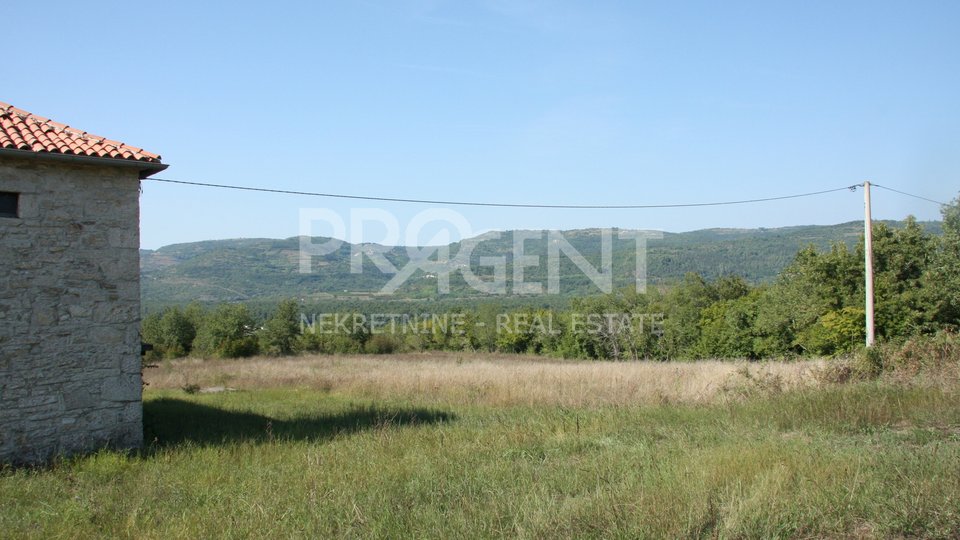 Istria, Motovun, farm with 22206 m2 of land