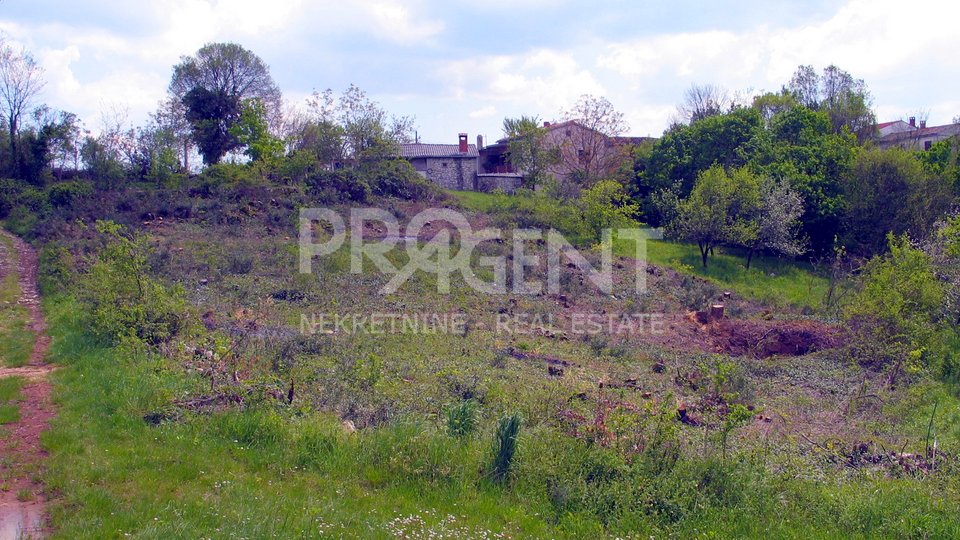 Land, 1628 m2, For Sale, Buzet - Pračana