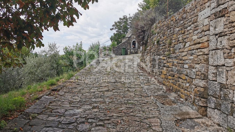 Motovun, stone house with garden and tavern
