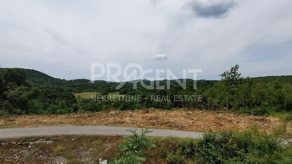 Land, 4220 m2, For Sale, Buzet - Brnobići