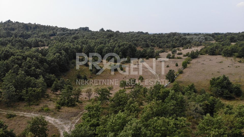 Land, 53534 m2, For Sale, Pazin