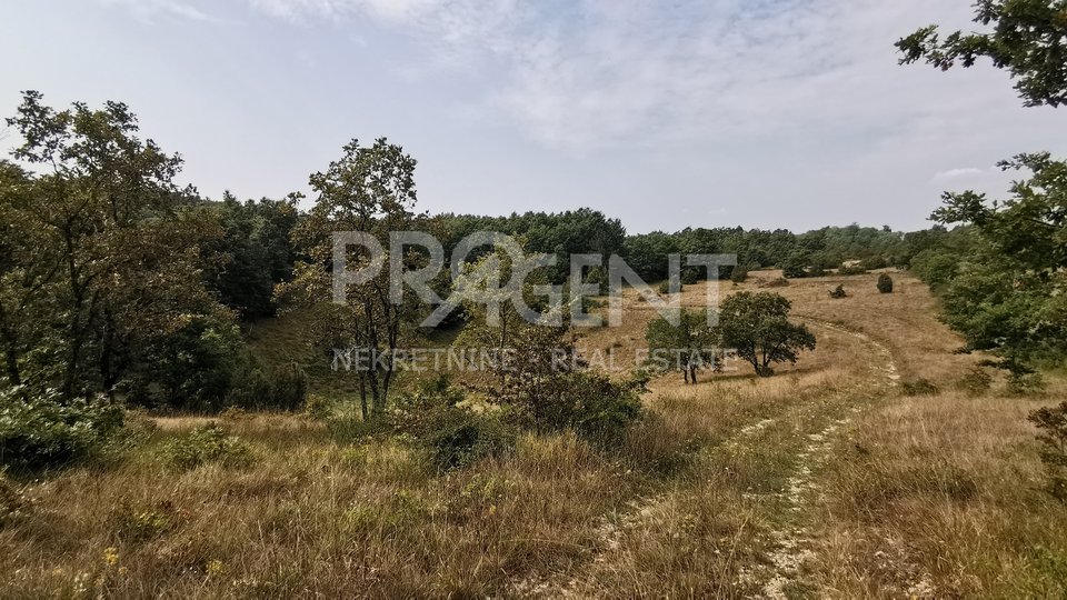 Building land for Resort, central Istria