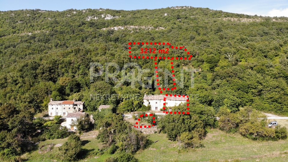 Istria, old stone house and barn with land